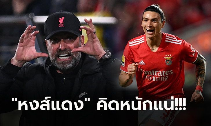 ติดอยู่แค่เรื่องเดียว! สื่อยก ลิเวอร์พูล เต็งคว้า นูเญซ ร่วมทัพซัมเมอร์นี้